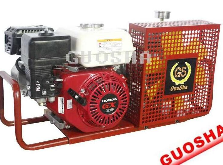 节能大菠萝官方网站