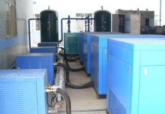 大菠萝官方网站