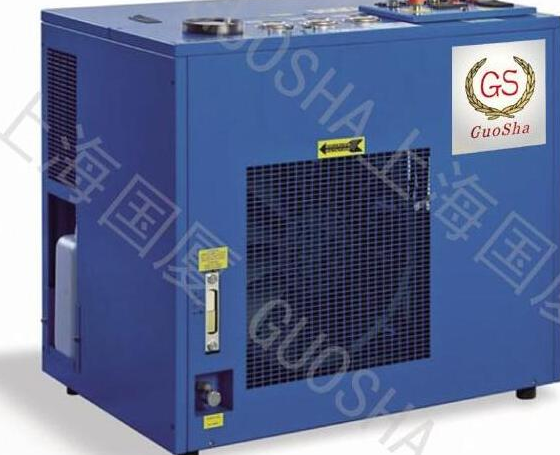 大菠萝官方网站